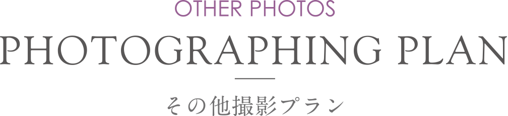 OTHER PHOTOS PHOTOGRAPHING PLAN その他撮影プラン